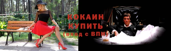 спиды Арсеньев