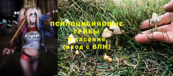 спиды Арсеньев