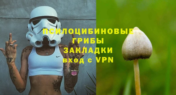 спиды Арсеньев