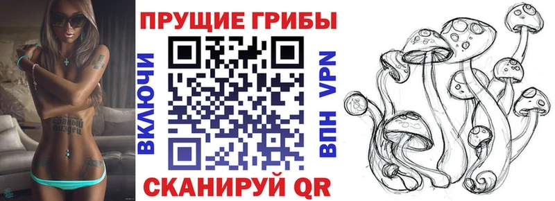 маркетплейс какой сайт  Слободской  Псилоцибиновые грибы ЛСД 